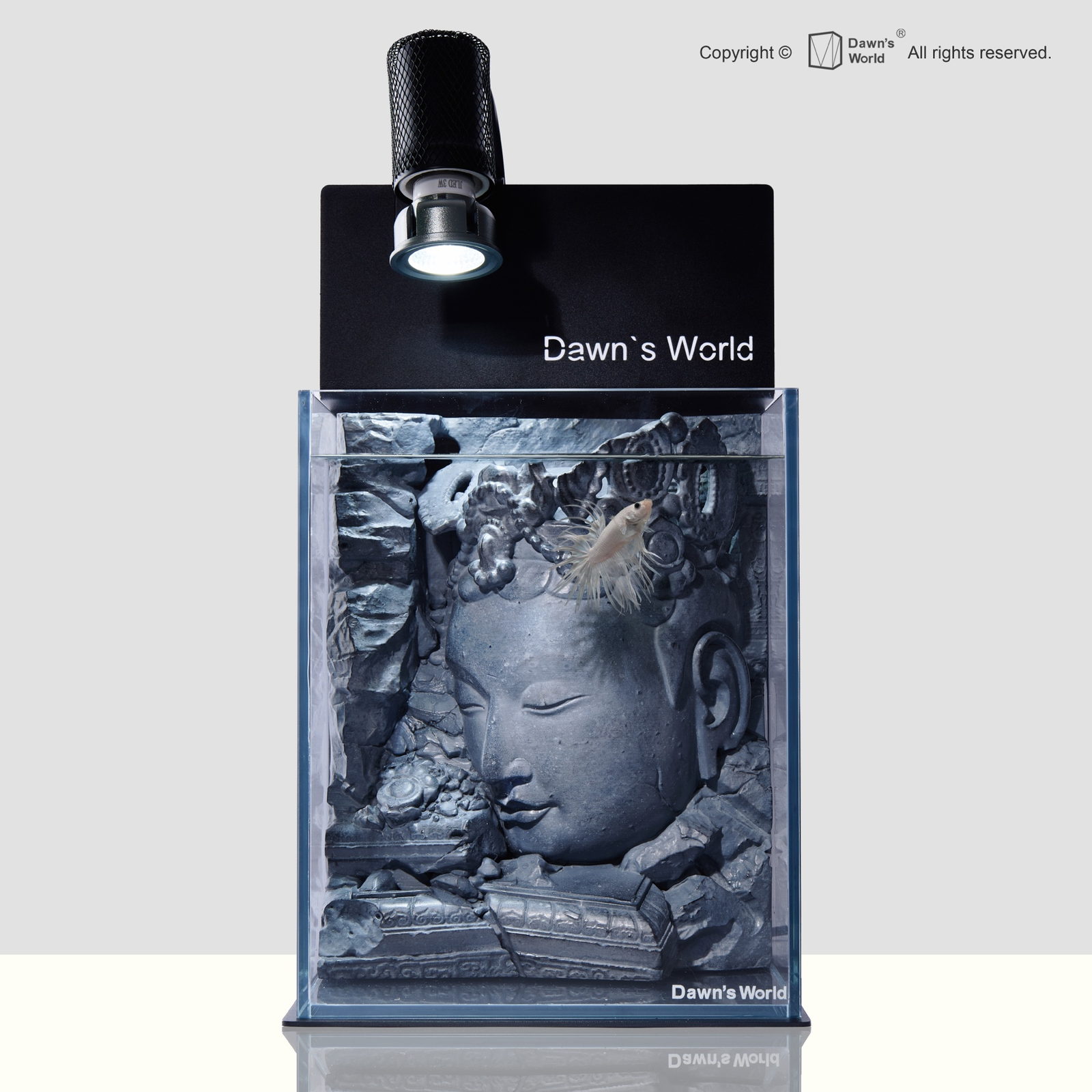 Front view of Underwater Ruins Edition A: a grey carved stone face and fallen relief fill the ultra-clear cube tank, lit by a black clip-on spotlight above.